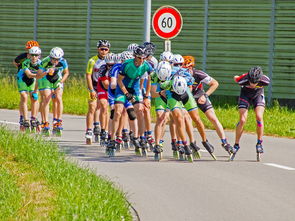 全国马术耐力赛甘肃举办圆满成功，马术比赛 中国
